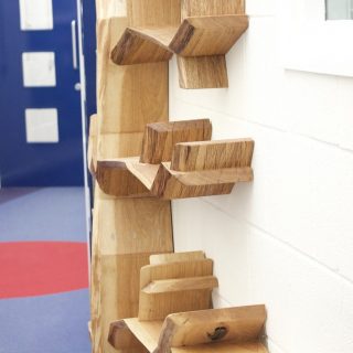 rowde primary school tree shelf