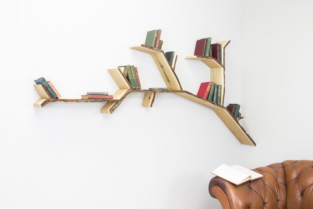 oak shelf tree shelf branch