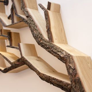 wall feature designs by bespoak interiors tree shelves